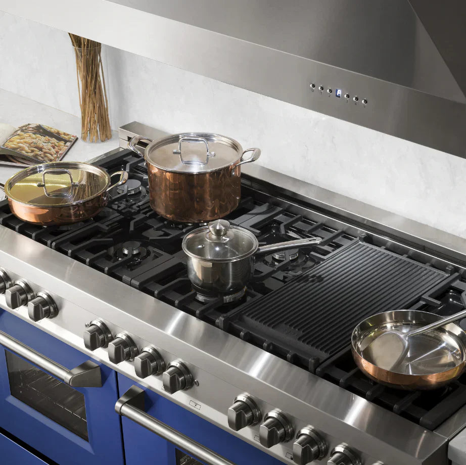 ZLINE 60 in. Dual Fuel Professional Range, 9 Burner Gas Cooktop, Double Electric Convection Ovens, Stainless Steel with Blue Matte Door (RA-BM-60)