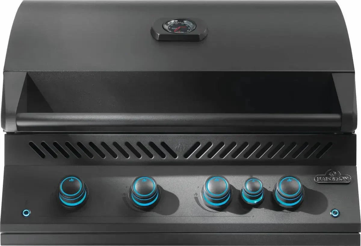 Napoleon Built-In 700 Series 32-inch Gas Grill with Rear Infrared Burner BIG32RB-1, Matte Black