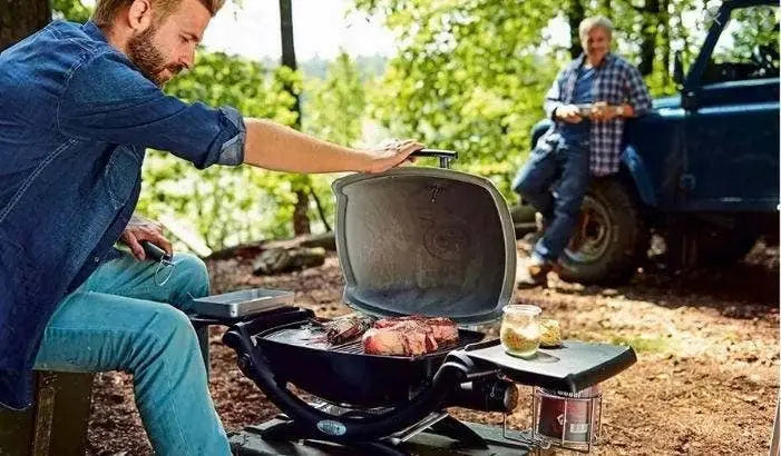 Weber Q 1200 Portable Gas BBQ Grill