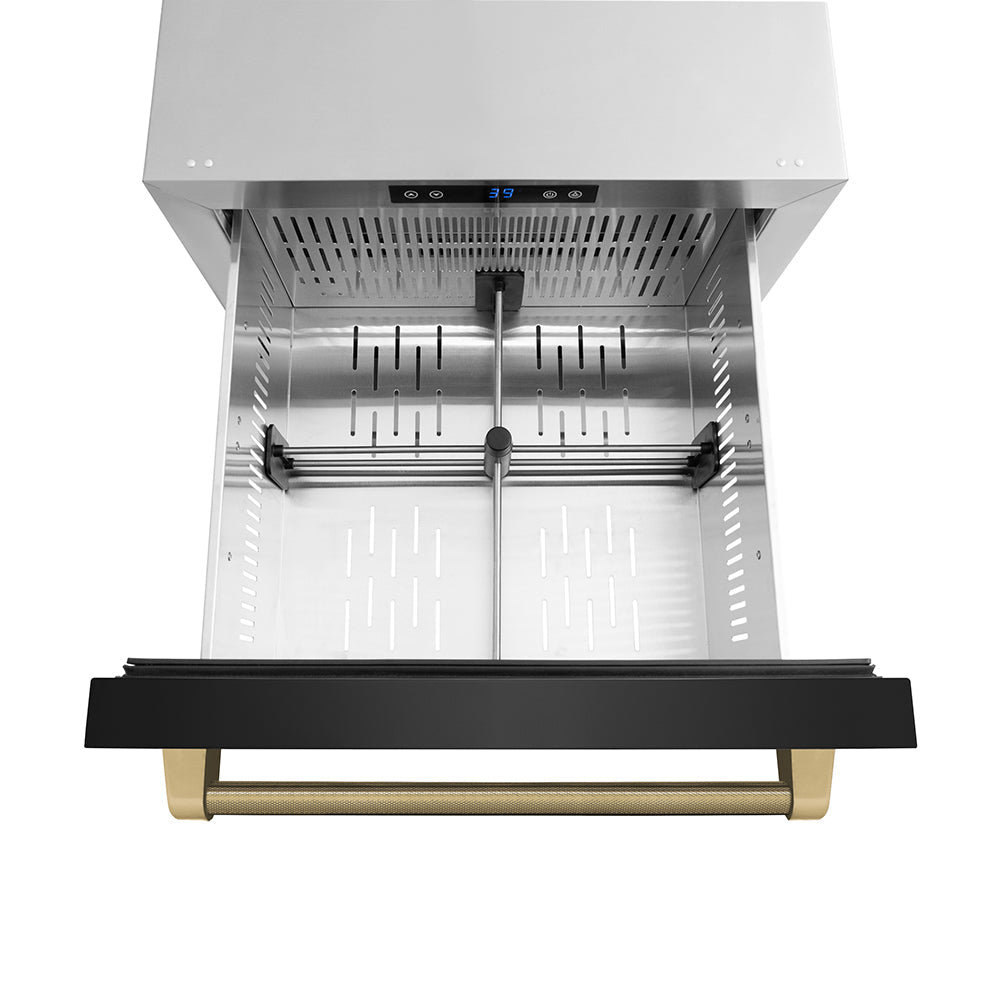 ZLINE 24 in. Refrigerator Drawer 4.6 Cu. Ft. Outdoor-Rated Dual Drawer Black Stainless Steel Champagne Bronze Handles (RDSOZ-BS-24-KCB)