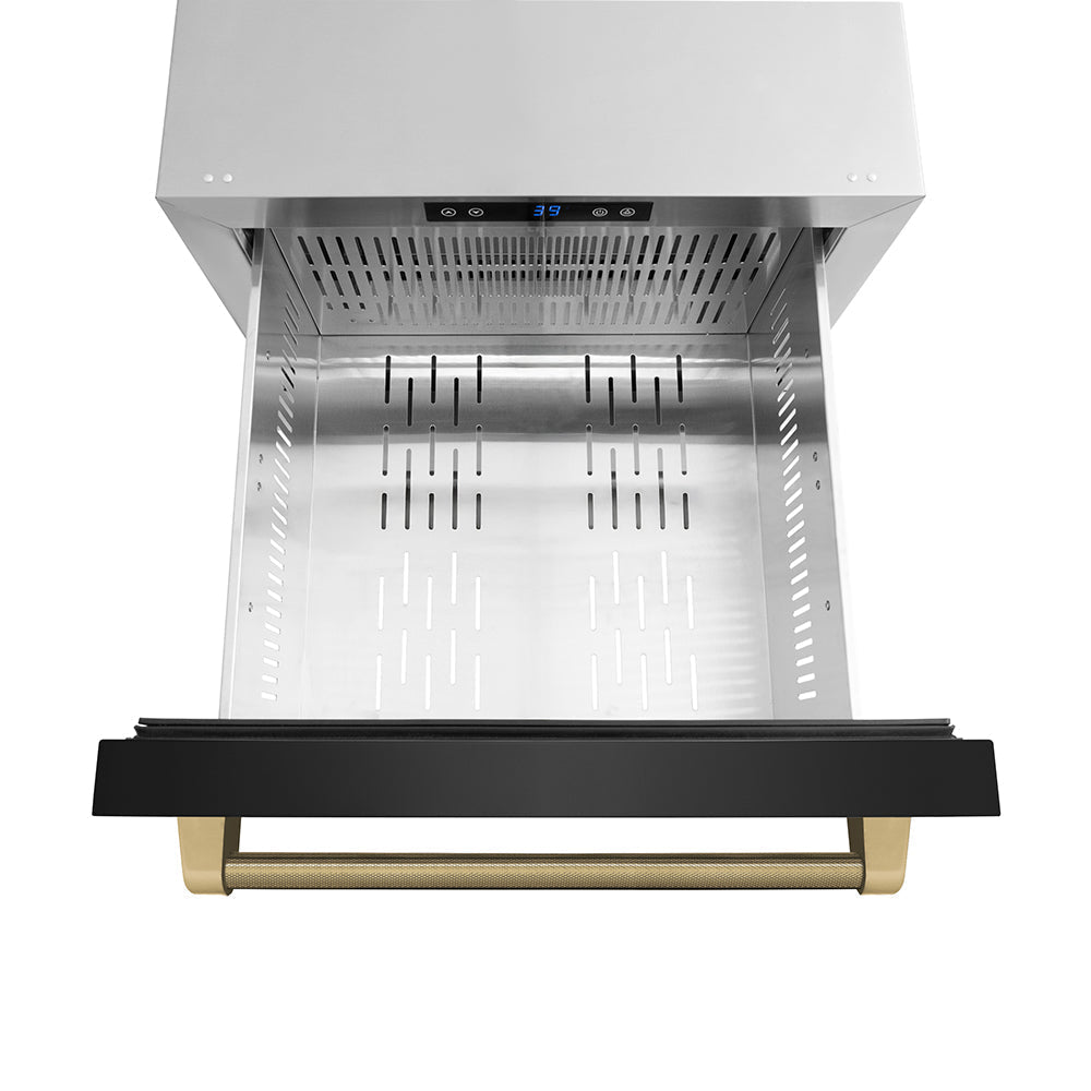 ZLINE 24 in. Refrigerator Drawer 4.6 Cu. Ft. Outdoor-Rated Dual Drawer Black Stainless Steel Champagne Bronze Handles (RDSOZ-BS-24-KCB)
