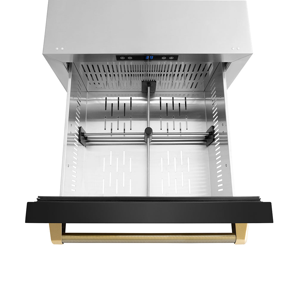ZLINE 24 in. Dual Refrigerator Drawer 168 Can Capacity Outdoor-Rated Black Stainless Steel Doors Polished Gold Helix Handles (RDSOZ-BS-24-KG)
