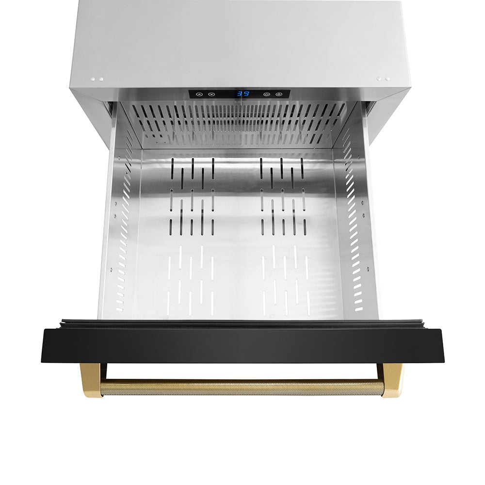 ZLINE 24 in. Dual Refrigerator Drawer 168 Can Capacity Outdoor-Rated Black Stainless Steel Doors Polished Gold Helix Handles (RDSOZ-BS-24-KG)