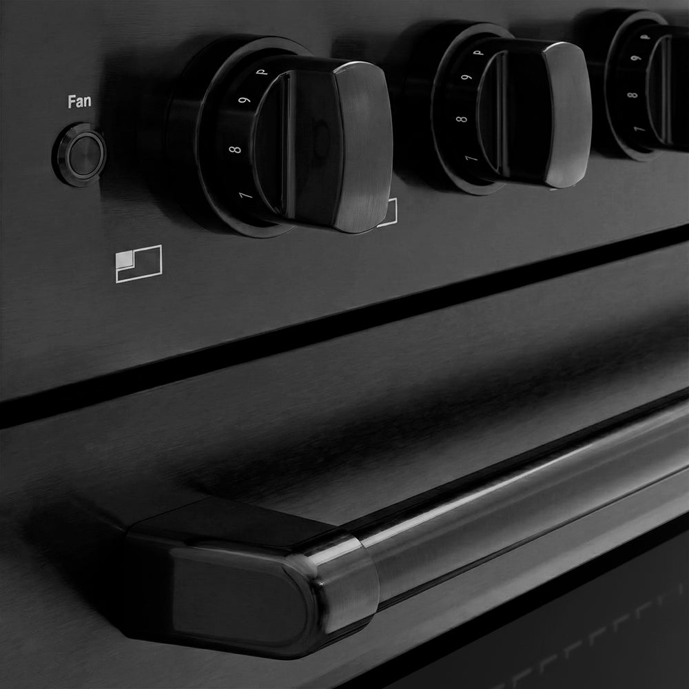 ZLINE 24 in. Induction Range 3.2 cu. ft. Electric Convection Oven 3 Element Cooktop Black Stainless Steel (SINRB-24)