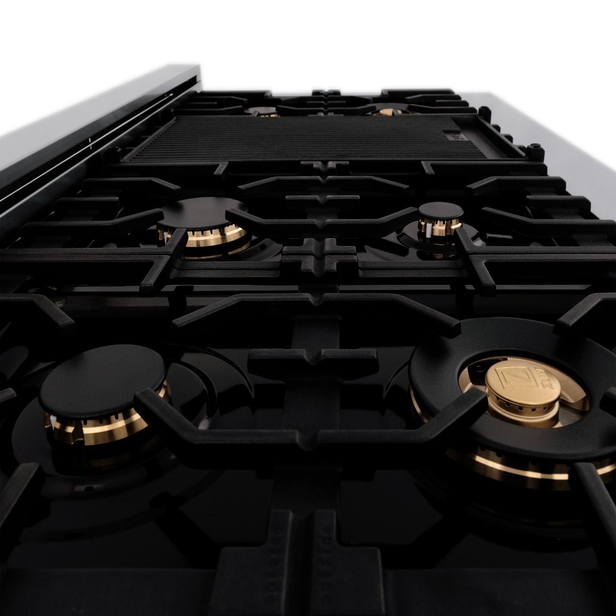 ZLINE 48-Inch Professional Gas Range with Electric Oven, Stainless Steel, Brass Burners (RA-BR-48)