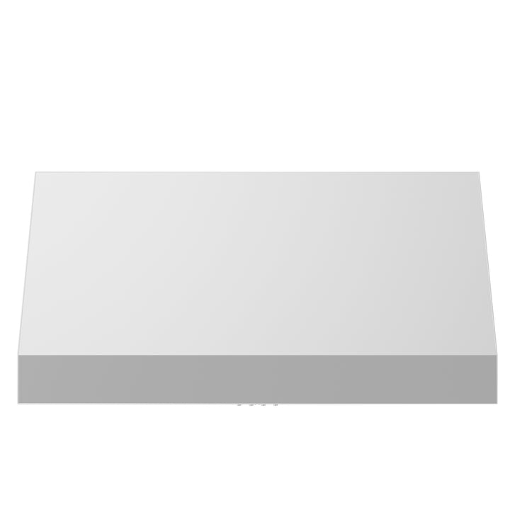 ZLINE 36 Inch Under Cabinet Range Hood Stainless Steel Heat Lamp Ventilation (523-36)